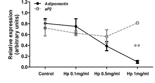 Figure  17.  Hp  affects  adiponectin  expression  in  vivo  and  in  vitro.  B:  Adiponectin  release  after  Hp  treatment for 24 h (doses as indicated) in terminally differentiated 3T3-L1 adipocytes