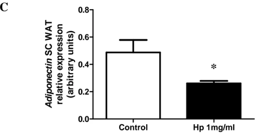 Figure 17. Hp affects adiponectin expression in vivo and in vitro. C: Relative expression of adiponectin  in SC human adipocytes, treated or not (control) with Hp for 24 h