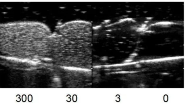 Figura 2.1: Immagini ecografiche di particelle di TiO 2 sospese in acqua 