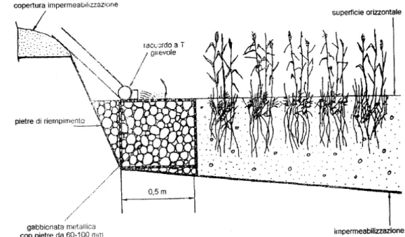 Fig. 1.7. Sistema di distribuzione dell’influente con tubazione superficiale  dotati di raccordo a T regolabile, pianta ( Bonomo et al., 1996)