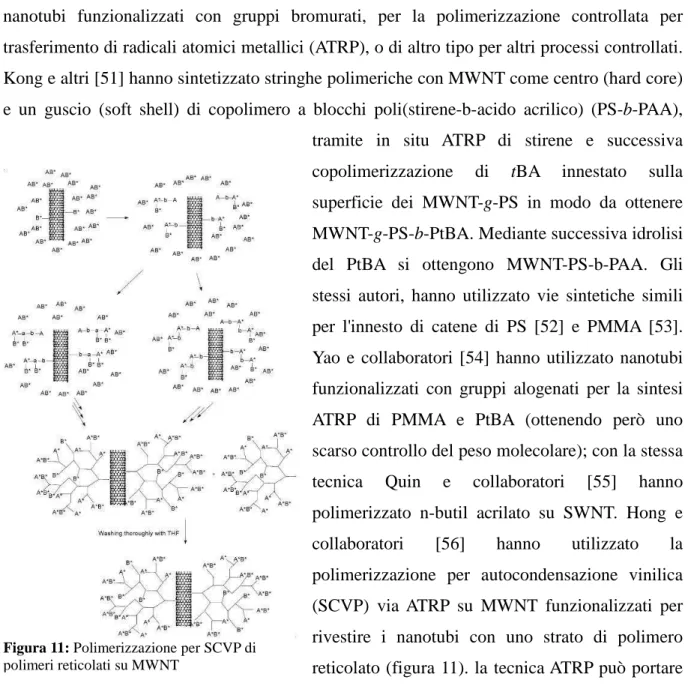 Figura 11: Polimerizzazione per SCVP di  polimeri reticolati su MWNT 