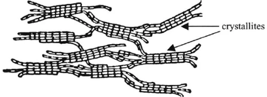 Fig. 1.3 - Structure model of cellulose given by Gardner and Blackwell [55]. 