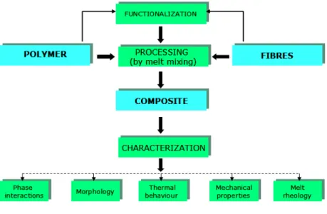 Fig. 1.6 - Flow diagram for composite processing and studies 