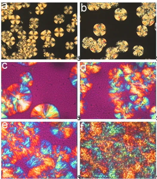 Fig.  3.4  –  Polarized  optical  micrographs  of  (a)  PLA  (Tc  =  110  °C,  from  melt),  (b)  PLA (Tc = 120 °C, from melt), (c) B15 (Tc = 120 °C, from melt), (d) B15 (Tc 