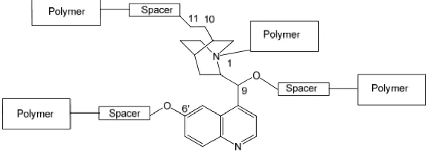 Figure 8. Anchoring sites in the alkaloid core and general architectures of IPB materials