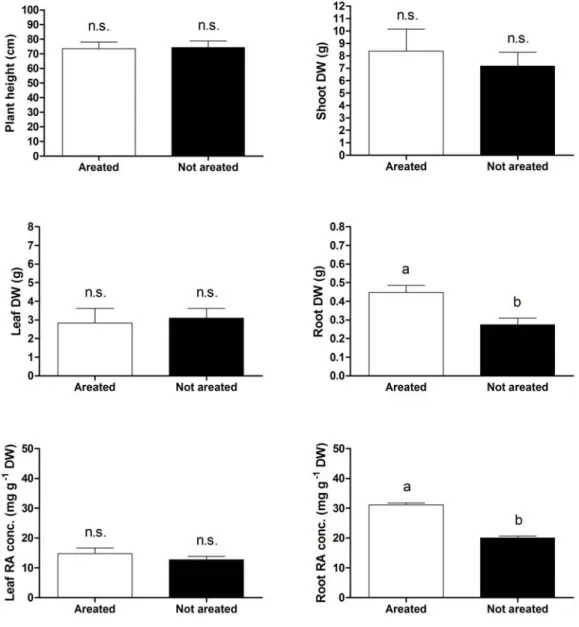 Figure 4.1. The effect of hypoxia on plant growth and the rosmarinic acid (RA) in  leaf and root tissues of basil (O