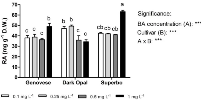 Figure 2.4. The effect of BA concentrations in the growing medium on the content  of  rosmarinic acid (RA) in different cultivars (Genovese, Dark Opal and Superbo) of  sweet basil (O