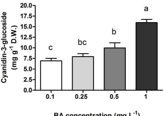 Figure 2.5. The effect of BA concentrations in the growing medium on the content  of anthocyanins (Cy-3-Glc equivalents, measured  spectrophotometrically) in the  shoots of sweet basil (O
