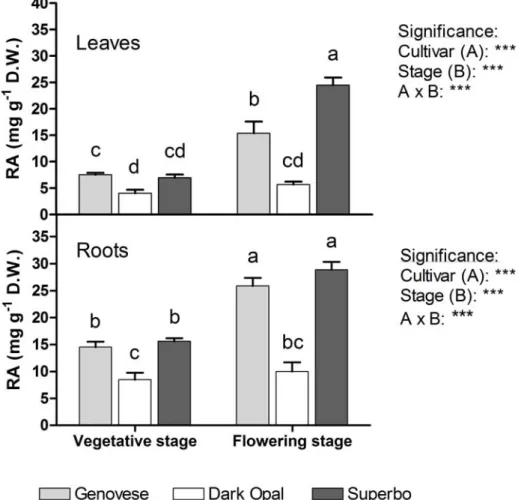 Figure 2.7. The content of rosmarinic acid (RA) in leaves and roots of different  cultivars (Genovese, Dark Opal and Superbo) of sweet basil (O