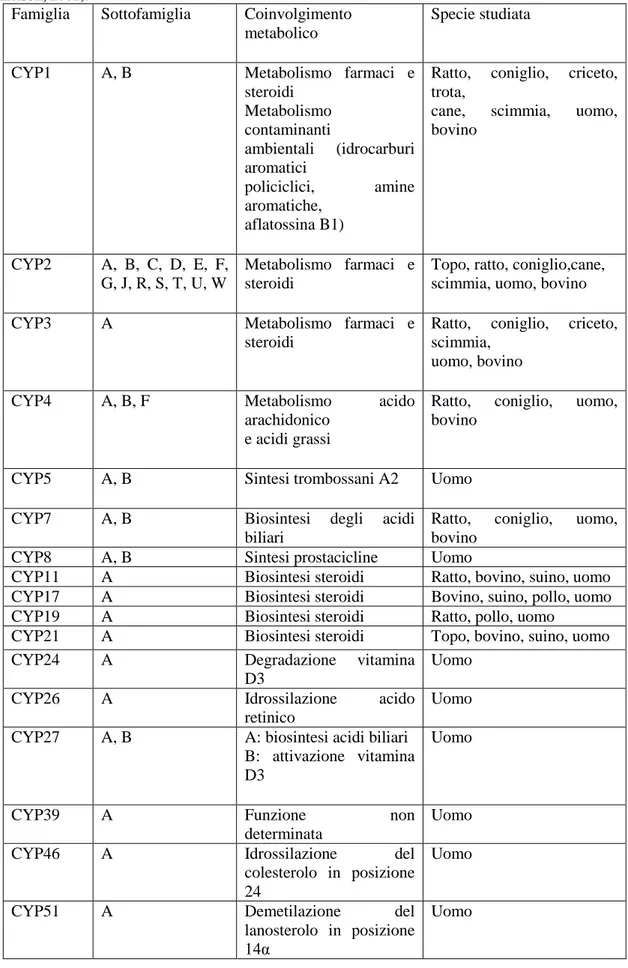 Tabella  1:  rappresentante  le  diverse  famiglie  del  citocromo  P450  e  le  diverse  funzioni  che  svolgono  (Danielson, 2002)