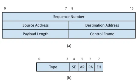 Figure 4.7. WBuST Packet header structure.