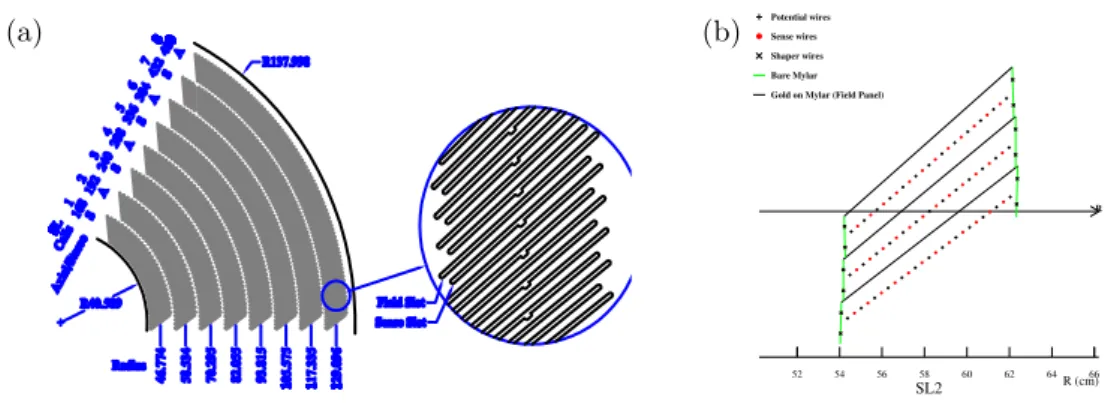 Figura 2.4: Sezione trasversale di una parte del COT (a). Illustrazione schematica della sezione trasversale di 3 celle del superlayer 2 (b).