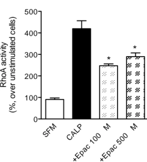 Figura  4.  Analisi  ELISA  dell'attivazione  della  proteina  RhoA  in  presenza  o  in  assenza  del   composto  8-pCPT-2'-O-Me-cAMP  (attivatore  Epac)  in  cellule  muscolari  lisce  umane