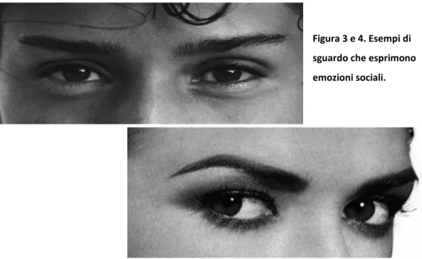 Figura 3 e 4. Esempi di  sguardo che esprimono  emozioni sociali. 
