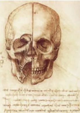 Figura 78: Dissezione del cranio, Leonardo da Vinci, 1489 ca. Disegno a penna, inchiostro bruno e  carboncino su carta