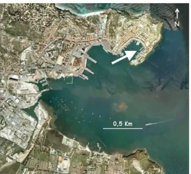 Fig. 2.7: Localizzazione del sito di campionamento all’interno del porto di Portoferraio
