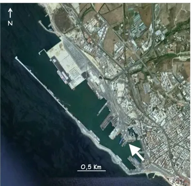 Fig. 2.8: Localizzazione del sito di campionamento all’interno del porto di Civitavecchia