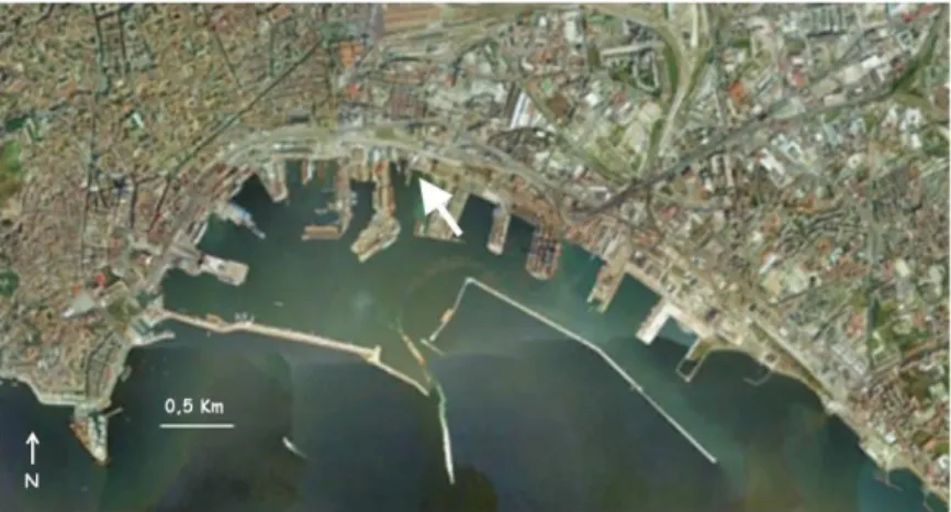 Fig. 2.10: Localizzazione del sito di campionamento all’interno del porto di Napoli. 