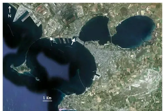 Fig. 2.12: Localizzazione del sito di campionamento all’interno del porto di Taranto. 