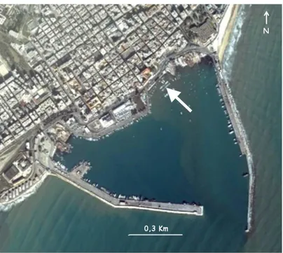 Fig. 2.13: Localizzazione del sito di campionamento all’interno del porto di Manfredonia