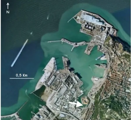 Fig. 2.14: Localizzazione del sito di campionamento all’interno del porto di Ancona. 