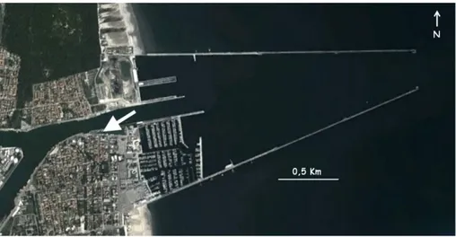 Fig. 2.15: Localizzazione del sito di campionamento all’interno del porto di Ravenna. 