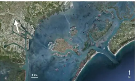 Fig. 2.16: Localizzazione del sito di campionamento all’interno del porto di Porto Marghera.