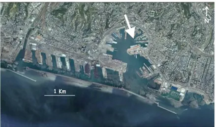 Fig. 2.3: Localizzazione del sito di campionamento all’interno del porto di Genova. 