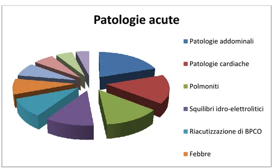 Figura 2. Patologie acute più frequenti causa dell’accesso in PS 