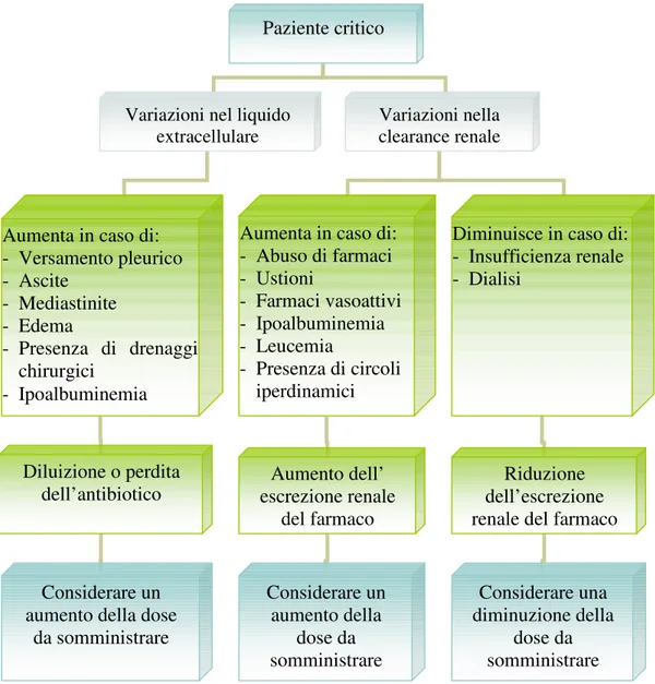Fig. 5 Condizioni fisiopatologiche che alterano la farmacocinetica degli  antibiotici nel paziente critico 