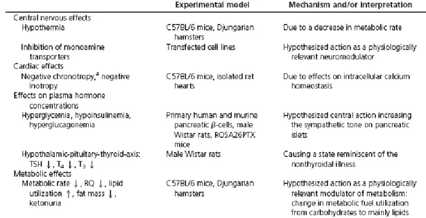 Table 1. Summary of the T 1 AM effects. ↑, Increase; ↓, Reduction.    