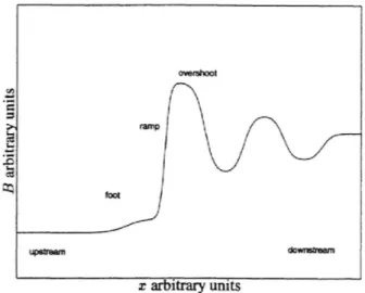 Figure 1.17: The structure of a quasi-perpendicular shock. The picture is taken from [54].