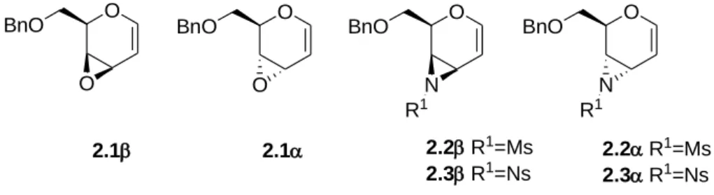 Figura 2.1. Vinil epossidi e vinil aziridine derivate dai glicali 