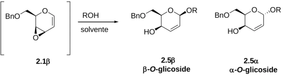 Figura 2.2. Razionalizzazione della 1,4 regio- e β-stereoselettività nelle reazioni di addizione di  alcooli all’epossido 2.1β 