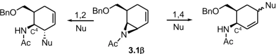 Figura 3.1. Carba N-acetil aziridine 3.1α e 3.1β. 