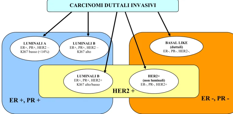Fig 9: classificazione molecolare del carcinoma della mamella (Goldhirsch A et al., 2011) 