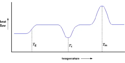 Figura 2.8 Termogramma DSC che mostra le principali caratteristiche delle curve sperimentali a seconda della  transizione osservata: Tg temperatura di transizione vetrosa, Tc temperatura di cristallizzazione, Tm temperatura 