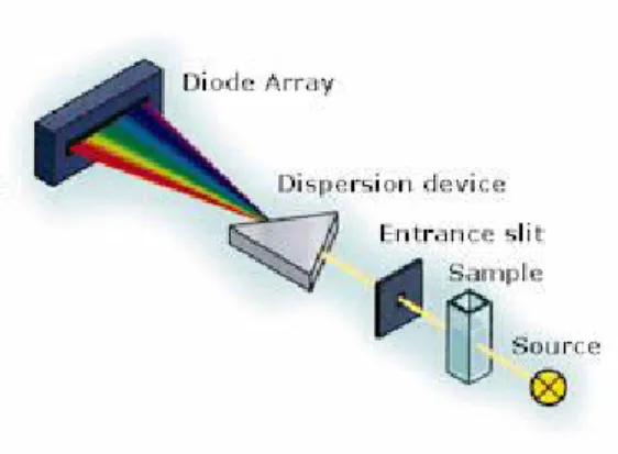 Figura 2.2 Schema dello spettrofotometro a diodo array utilizzato. 