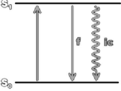 Figura 2.3 Diagramma di Jablonski che illustra il fenomeno della fluorescenza (f). 