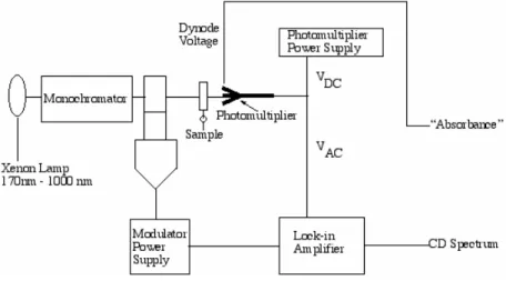 Figura 2.6 Schema interno di uno spettrometro CD. 