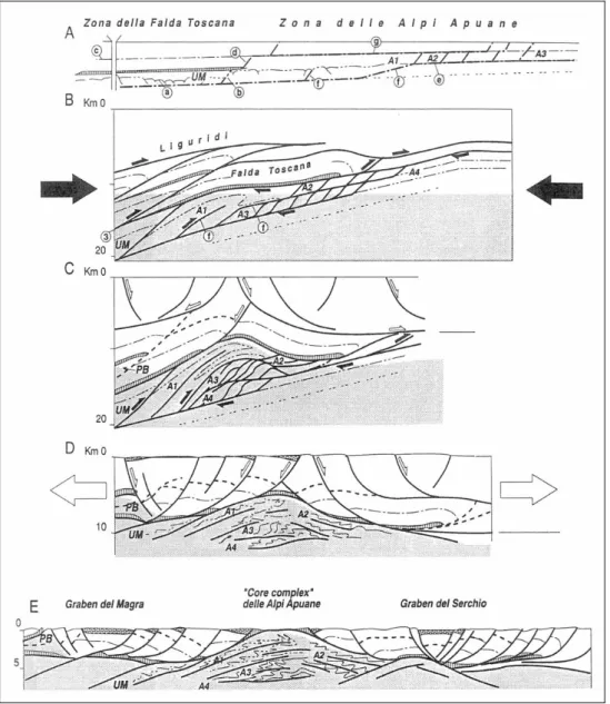 Figure 2.5 – Evolution of the shear zone of the Apuan Alps (from C ARMIGNANI  &amp; K LIGFIELD , 1990; C ARMIGNANI    et  al., 1994)