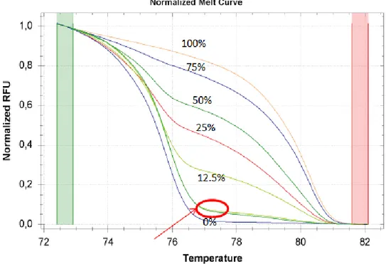 Figure 10: melting curves of MGMT gene: the standards and two samples in duplicate (highlighted) 