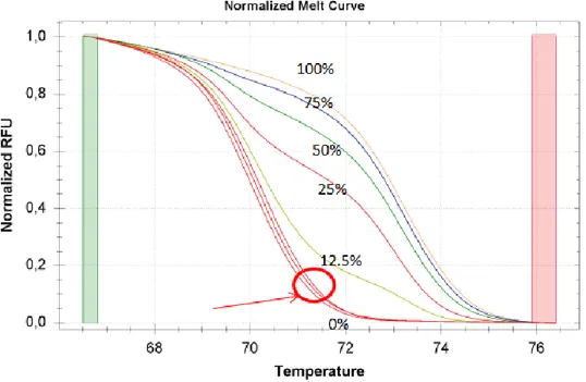 Figure 11: melting curves of h MLH1 gene: the standards and a sample in duplicate (highlighted) 