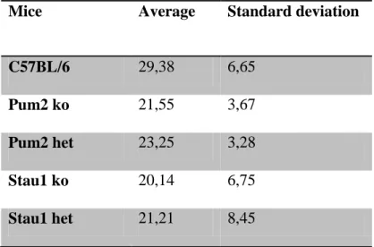 Table 1: Average and standard deviation in analyzed mice group 