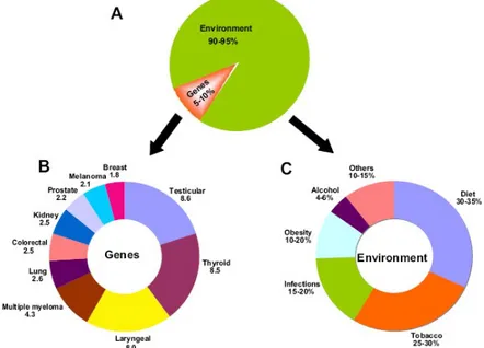 Figure 1.1  Suddivision between genetic and environmental causes . 1