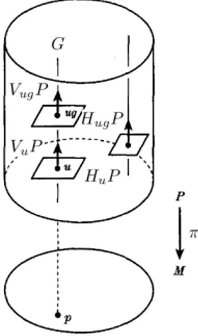Figure 2.6: V u P is the vertical subspace, while H u P is the horizontal subspace.