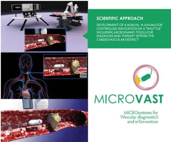 Figura 2.1: Progetto MicroVAST