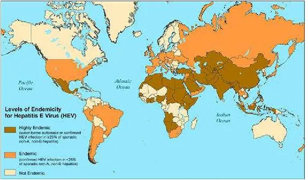 Figura 4: Livello di endemicità di HEV nei paesi del mondo 