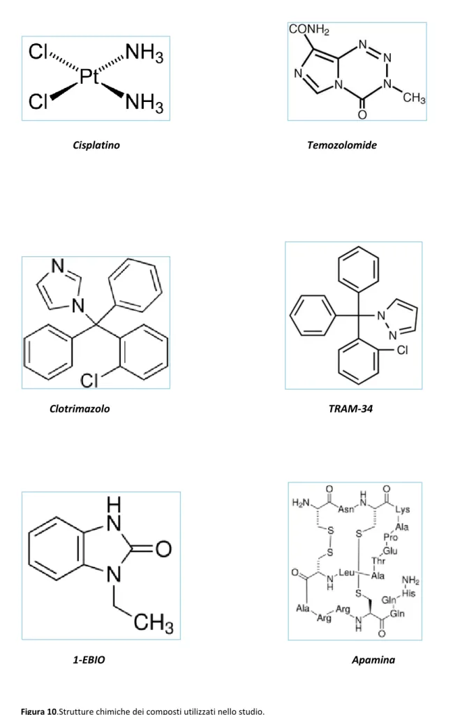 Figura 10.Strutture chimiche dei composti utilizzati nello studio. 