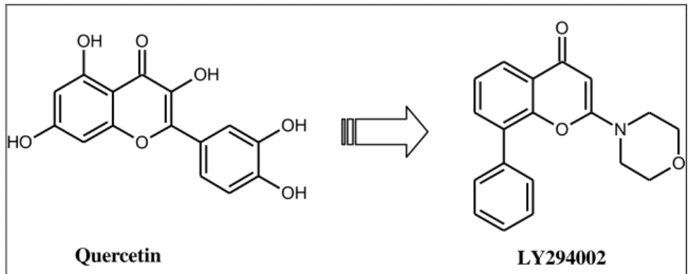 Figure 2.3: Natural product PI3K inhibitors (Quercetin) and related analogue(LY294002)